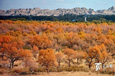 【南北疆】 新疆天山天池、火洲吐魯番、人間凈土喀納斯雙飛8日游