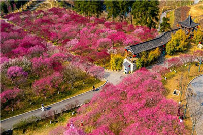 【十堰】秦巴植物園、娃娃魚基地1日游